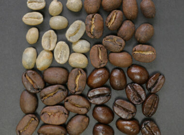 咖啡因有助於運動表現-阻力運動-耐力運動