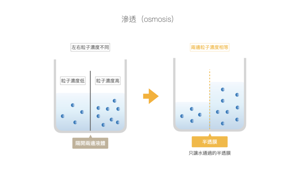 電解質-運動汗液-鈉離子濃度
