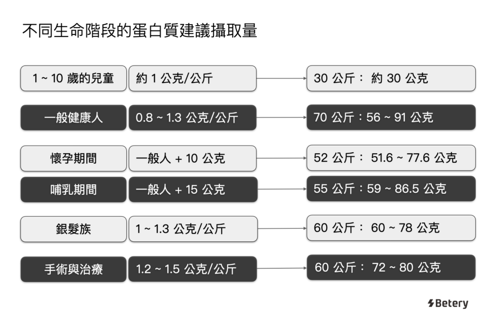 一餐要吃多少蛋白質-生命期蛋白質需求
