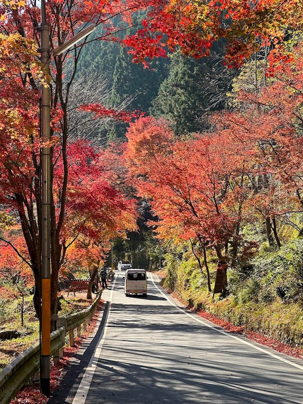 日本自由行-耐力甜膠囊-貴船神社-5