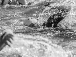 動力鏈-自由式-仰式