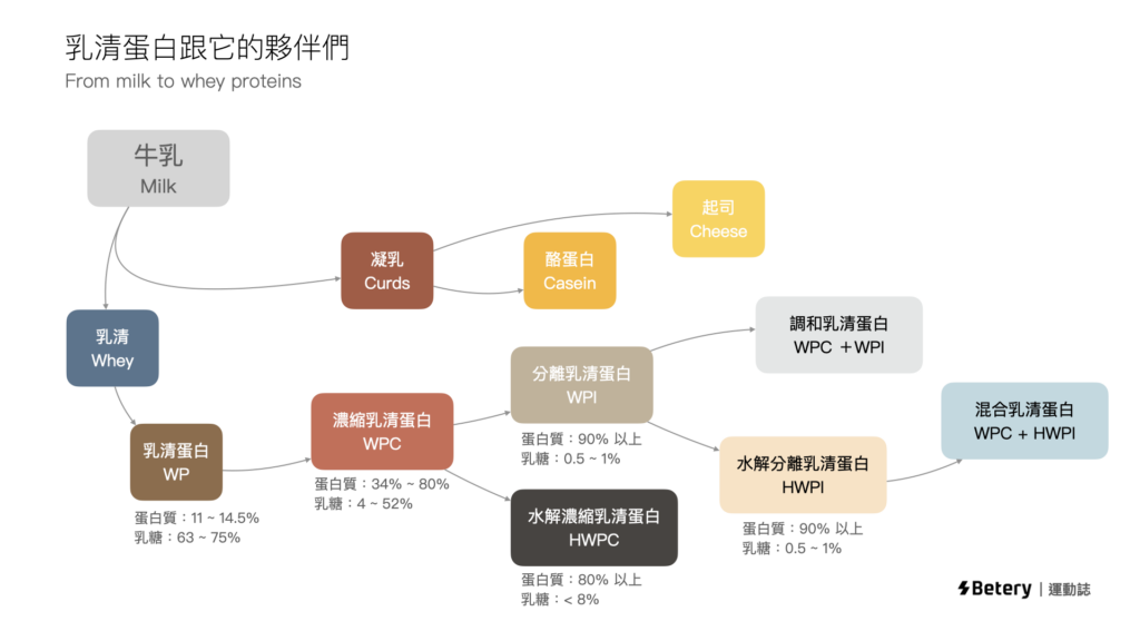 乳清蛋白與它的夥伴們