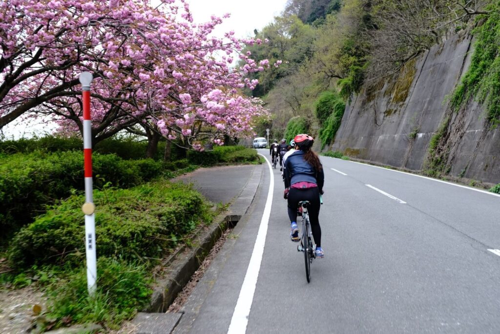 琵琶湖的路況相對平緩，不需要攀爬大山，路線起伏也不超過海拔150公尺。當然，湖面廣闊的特點就是偶有逆風的情況必須面對，但這也算是挑戰自我的一個環節。
