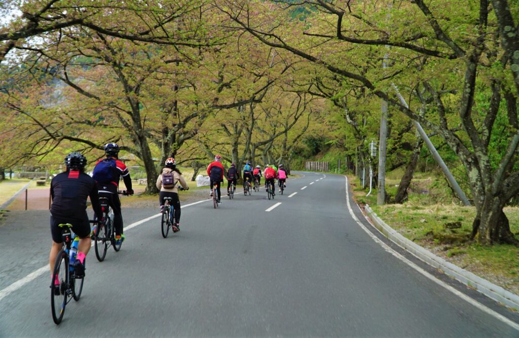 琵琶湖的路況相對平緩，不需要攀爬大山，路線起伏也不超過海拔150公尺。當然，湖面廣闊的特點就是偶有逆風的情況必須面對，但這也算是挑戰自我的一個環節。