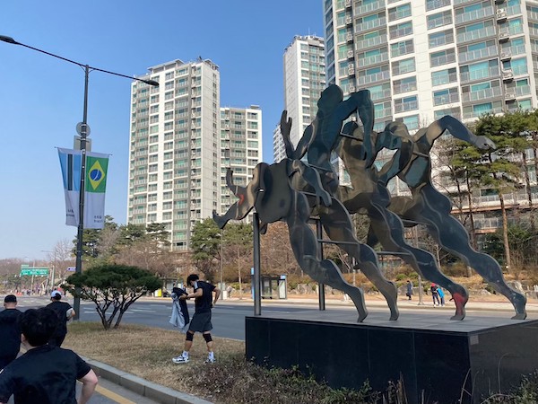 首爾馬拉松以其極速的賽道而聞名，雖然賽道上不免有些微起伏，包括上高架橋的路段和沿著蜿蜒的河濱跑道，但這些規劃乃是基於城市動線的規劃所設計。