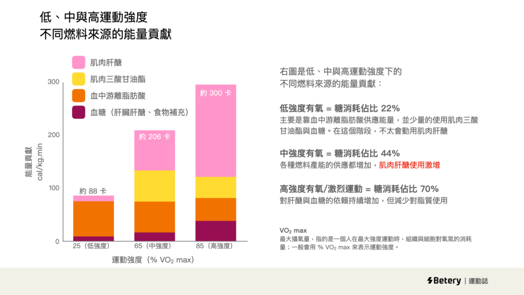 mets計算-有氧代謝-能量消耗貢獻