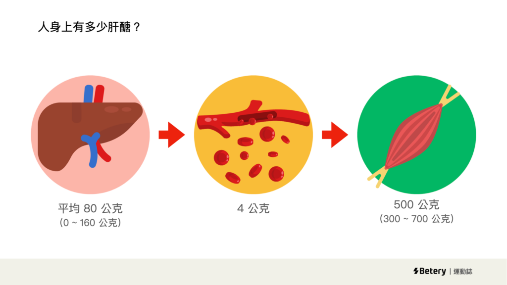 mets計算-肝醣存量