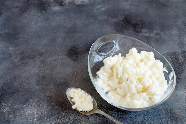 克非爾-kefir-發酵乳品-克非爾粒