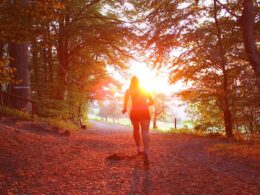 維生素D-運動表現