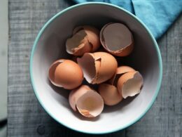 膠原蛋白-蛋殼膜-運動傷害-關節健康