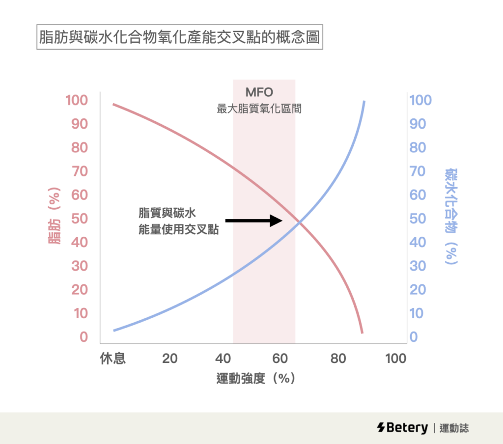 超慢跑-有氧運動期間脂質與碳水的能量使用佔比
