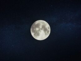 色胺酸-血清素-退黑激素-睡眠