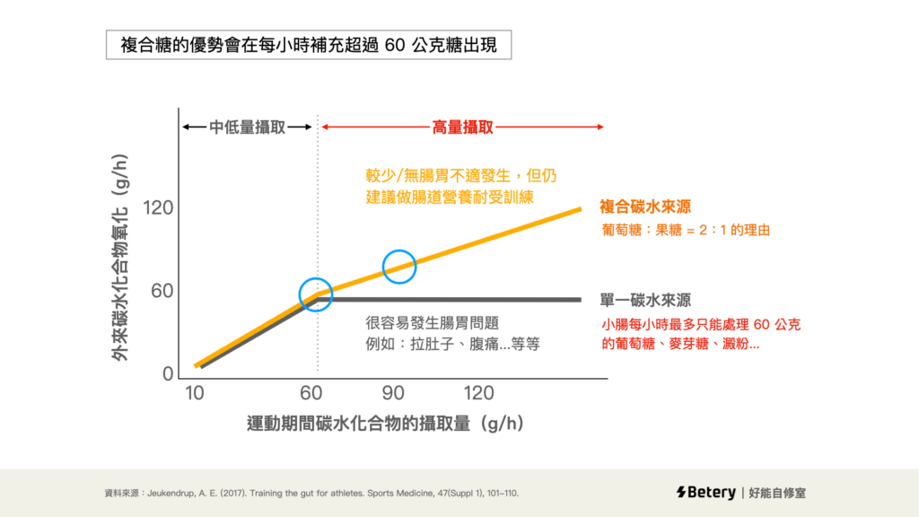 腸道訓練 - 腸道碳水吸收與體內氧化