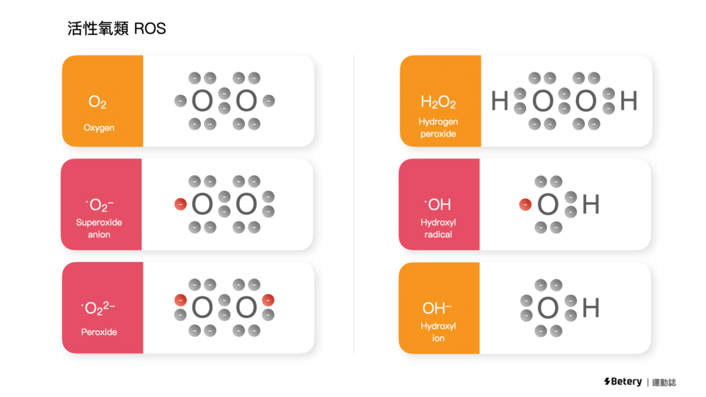 運動-氧化壓力-活性氧 ROS-RNS-自由基