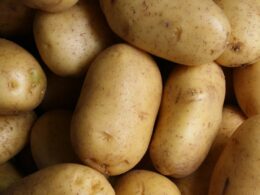 碳循環飲食-高強度間歇運動-肝醣-運動表現