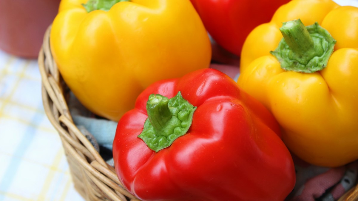 維生素C-運動表現-補充劑量