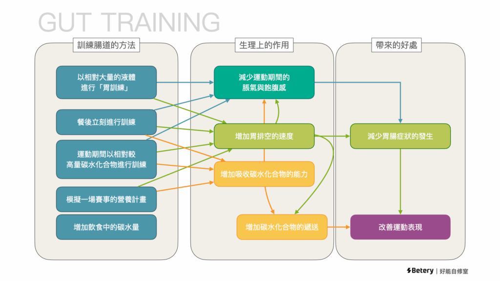 能量果膠-能量膠-Gut training-腸道營養訓練策略